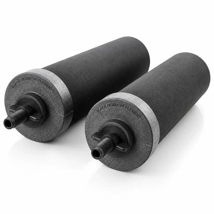 Black Berkey® BB9-2 Water Filter Elements